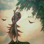 ����� ������ �� ������ �� ����� �� �����ɿ