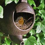 ���� ��� �� ���� ... �����