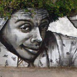 ��� ��� ��� �������