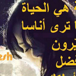 ���� ����