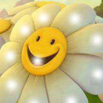 ���� �����