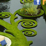 �� ��� ������ �� ��� ������