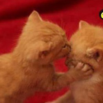 �� ���� ��� ������ �����  ��� ���� ���....