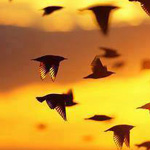 صورة 4 اقوال وطرائف