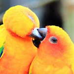 ���� ����  :-)