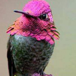 �� ����� ��� ������ ������ 