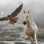 ��� ��� ������� ������ ���� ��������