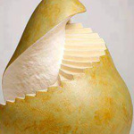 �� ������