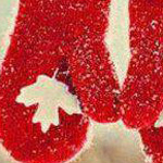 ���� ����� 