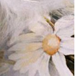 �� ��� �����... ����� ����� �� ���� �����