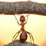 �� ����� ���