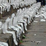 ����� �� ���� ��� �������� �����