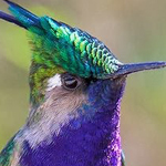 ��� �� ������ ������