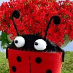 اقوال وطرائف رقم 1