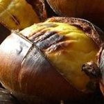 �������� ������� �� �� ���� ����