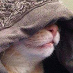 ������ ���� �� ���� :-)