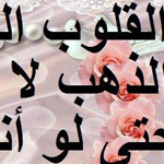 ������ ������� ��� ����� �� ����