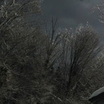 ���� ������