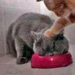 �������