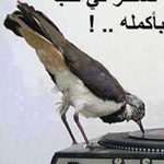 ������ ��������...�� ���� ������ ��� �����.. ������� ����� ����