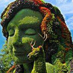 ���� ��������� ����������