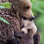 ���� ���� �� �����