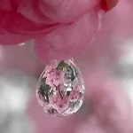 �� ����  ����� �� �����