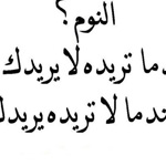 ������ �����