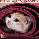 ����� ����� �� ����!!