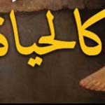 ���� �� ���� ����� �� ����� ����� ������� 