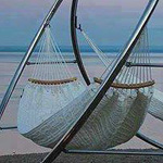 ���� ��������� ����������