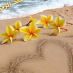 اقوال وطرائف رقم 1