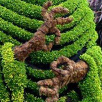 �� ���� ���� �������