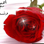 ���� �� ���� �� ����