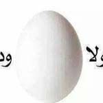صورة 4 اقوال وطرائف