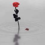 �� ����� �� ��� �� ����� ..