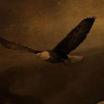 �� ���� ������ �� ������ ���� ��� ���� ������