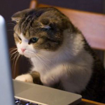 اقوال وطرائف الصورة الثالثة