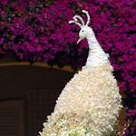 ���� ���