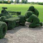 �������� �� ������ ���� ��� ������ :-)