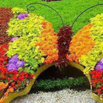 ���� ������� �� ������