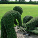 صورة 4 اقوال وطرائف