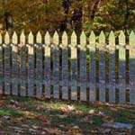 ���� ������