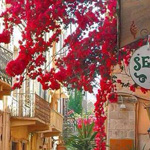 ������ �������� ����� ��� ������ 