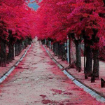 ���� �������� �� ����� ����ϡ �������