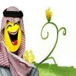 ������� �� �������