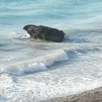 ��� ����� �����