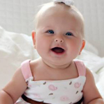 ���� ������ ������ ������ �������