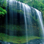 ���� �� ������