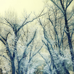 ���� ������� ������ �� ������ ��� ������